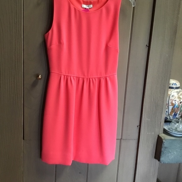 Darling J. Crew sleeveless dress - Picture 2 of 8